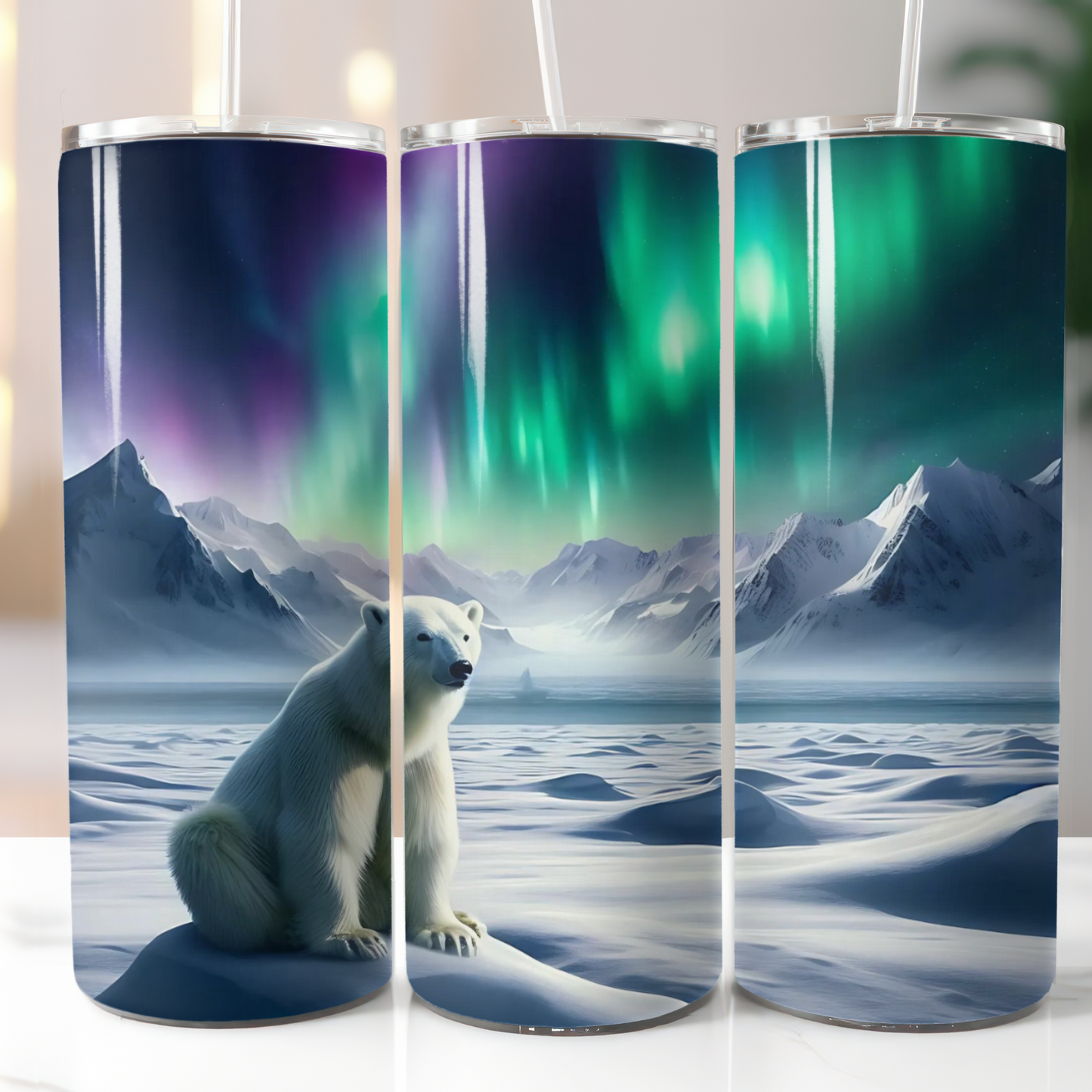 Polar Bear Northern Lights