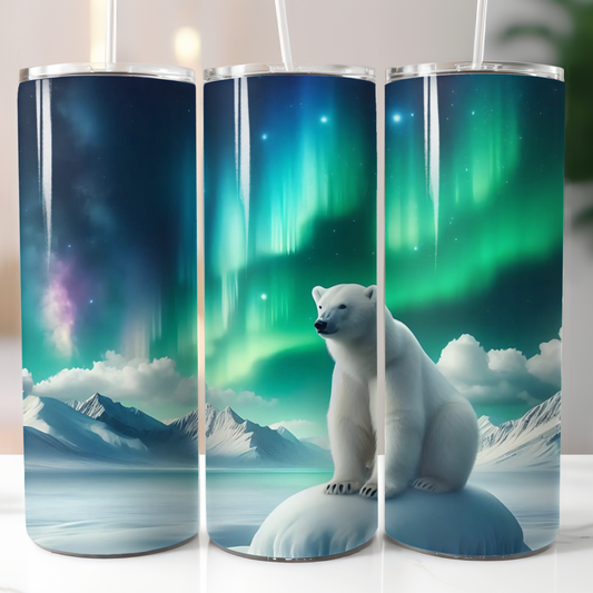 Polar Bear Northern Lights