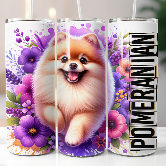 Pomeranian, Sublimation Transfer